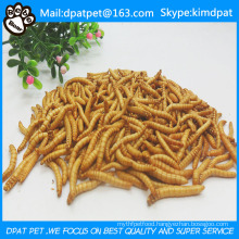 Pet Food Dried Mealworms High Quality Chicken Food